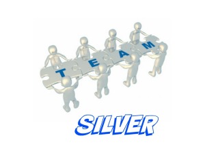 Team Silver